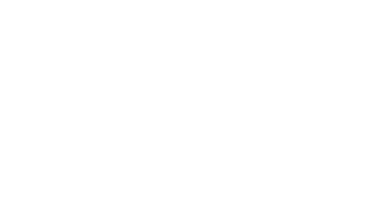 Zeus Dynamo